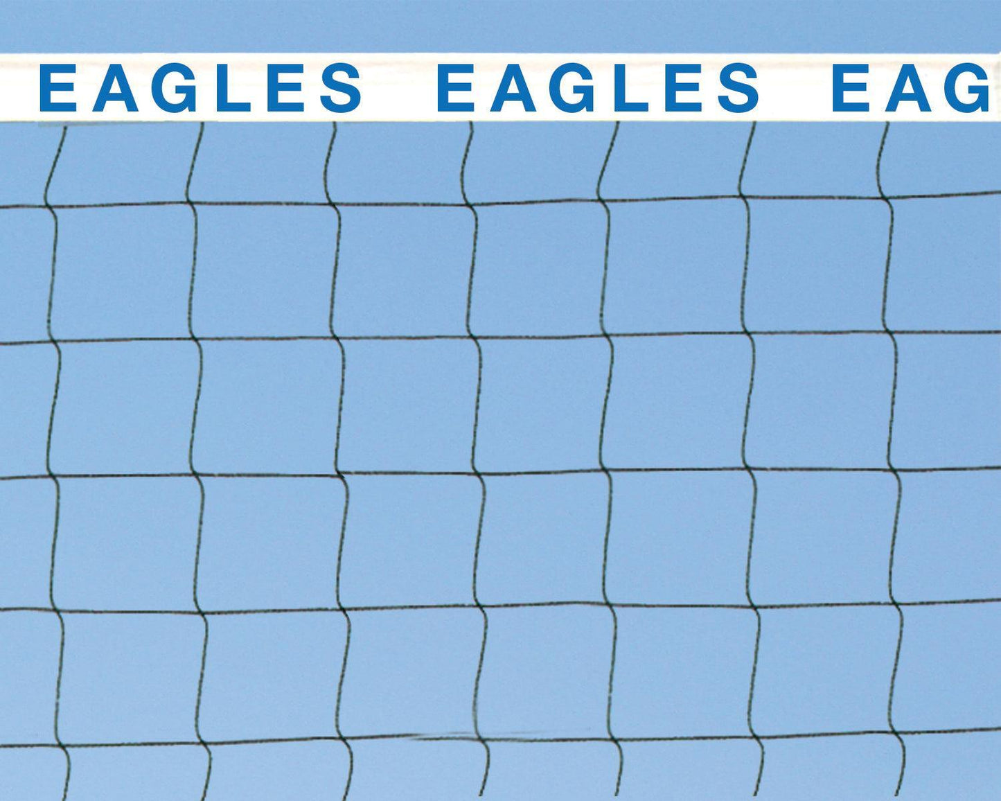 Centerline Elite Beach Volleyball Double Court System by Bison Athletic